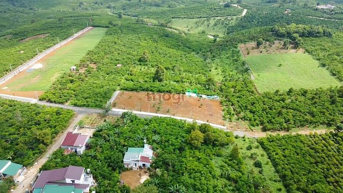 Hình ảnh Đất thổ cư Bảo Lâm – Bảo Lộc – Lâm Đồng. giá chỉ từ 5.3tr/m2