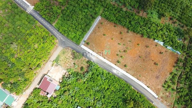Hình ảnh Đất thổ cư Bảo Lâm – Bảo Lộc – Lâm Đồng. giá chỉ từ 5.3tr/m2