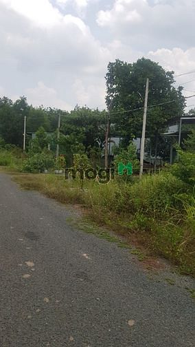 Hình ảnh bán đất đường trần hưng đạo tiến thành - đồng xoài.