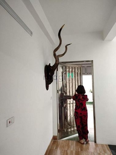 Hình ảnh Nhà bán phố Tân Thụy, Long Biên 91 7 4,5
