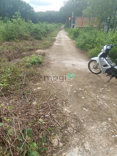 Hình ảnh Chính chủ cần bán lô đất gần viện kiểm sát nhân dân tỉnh Bình Phước