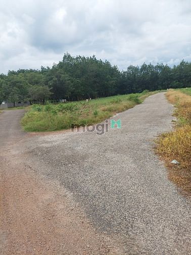 Hình ảnh đất 3 mặc tiền đường 32m thành phố Đồng Xoài