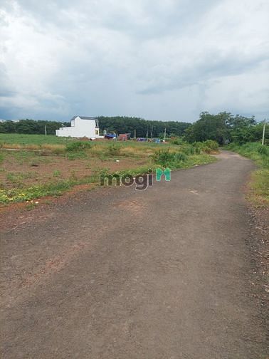 Hình ảnh đất 3 mặc tiền đường 32m thành phố Đồng Xoài