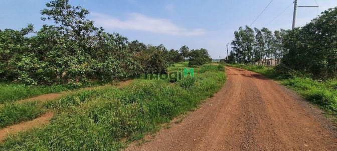 Hình ảnh Bán 7 lô đất sào cực đẹp xã Hưng Thịnh, Trảng Bom, Đồng Nai