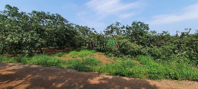 Hình ảnh Bán 7 lô đất sào cực đẹp xã Hưng Thịnh, Trảng Bom, Đồng Nai