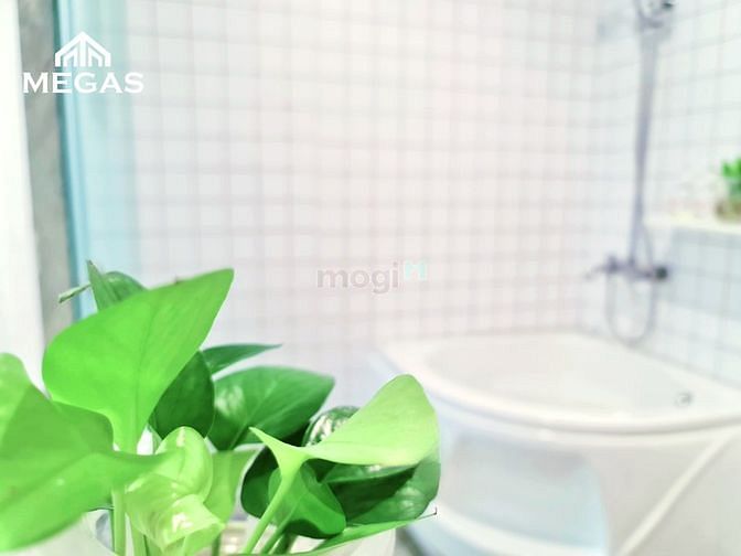 Hình ảnh Cho Thuê Căn Hộ Gần Phố Đi Bộ Nguyễn Huệ