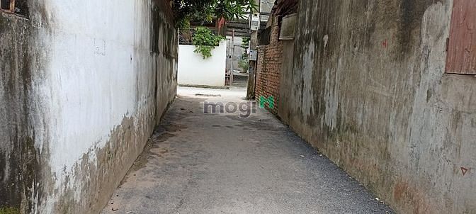 Hình ảnh Bán mảnh đất Phúc Lợi long biên, nhỉnh 7 tỷ, 120m2 mt 8m, ô tô vào đất