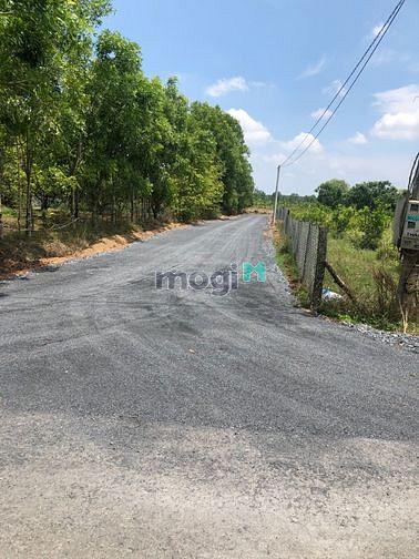 Hình ảnh Bán gấp mảnh vườn 1000m2 giá 450 triệu Bình Phước