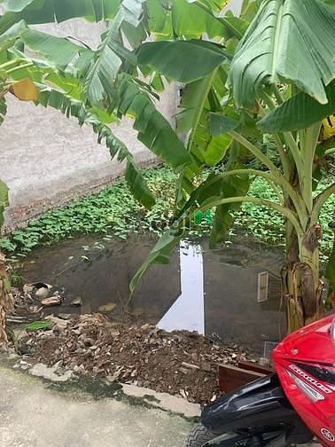 Hình ảnh Bán mảnh đất Phúc Lợi, long biên, 2.9 tỷ, 60m2 mt 6m, thửa đất vuông.