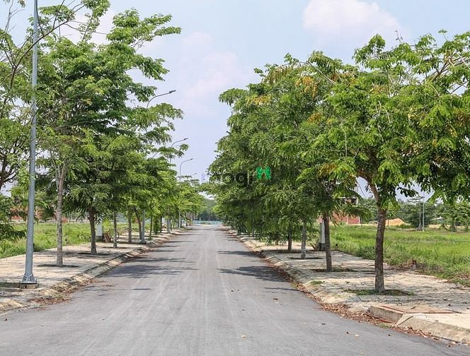 Hình ảnh Bán Đất Thổ Đối Diện P.Long Trường Quận 9, Dưới Chân Cầu Vành Đai 3