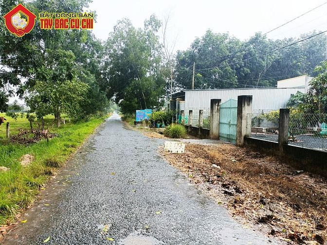 Hình ảnh Bán đất đường 791 - 1815m2 - 33x55 - 61m2 thổ cư - xã an phú - củ chi