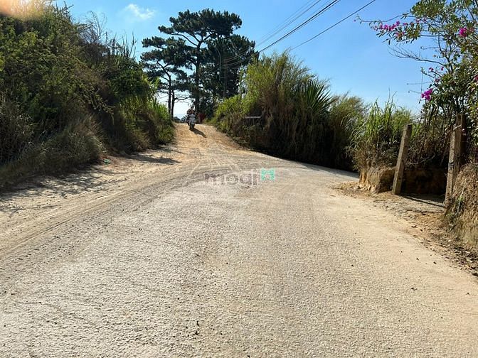 Hình ảnh Bán đất hai mặt tiền có hồ nước xanh - Rừng thông đường Lâm Văn Thạnh