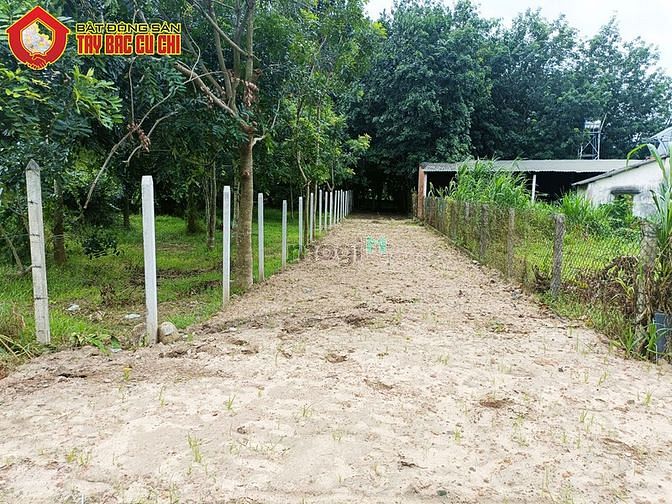Hình ảnh Đất đường nguyễn thị nà - 214m2 - 5x43 - 193m2 thổ cư - xã an phú -