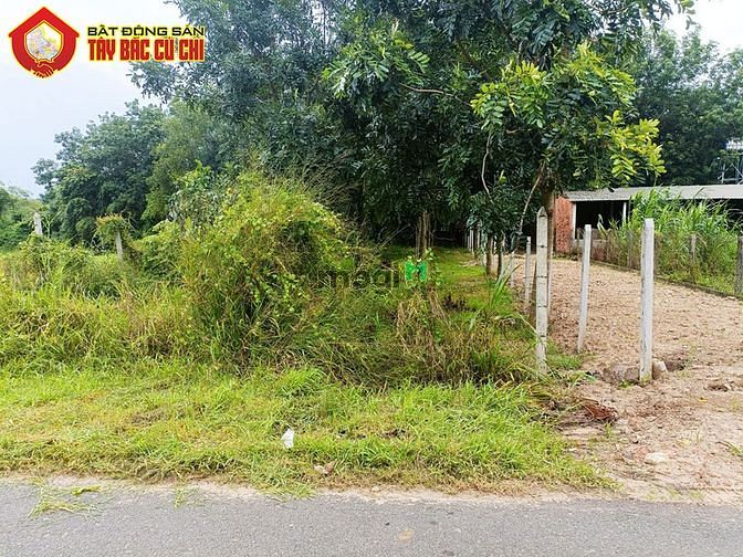 Hình ảnh Đất đường nguyễn thị nà - 214m2 - 5x43 - 193m2 thổ cư - xã an phú -