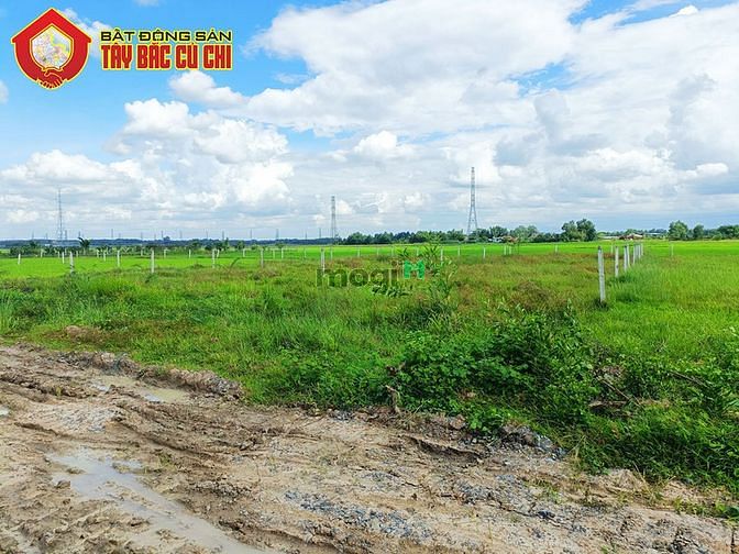 Hình ảnh Bán đất vườn 1/ đường 577 - 500m2 - 11x47 - xã trung lập hạ - củ chi