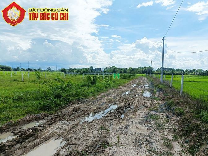 Hình ảnh Bán đất vườn 1/ đường 577 - 500m2 - 11x47 - xã trung lập hạ - củ chi