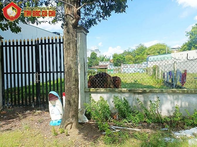 Hình ảnh Bán đất 2 mặt tiền đường đỗ đình nhân - 190m2 - 4x36 nở hậu 5.6m -