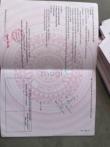 Hình ảnh ĐẤT ĐỒNG PHÚ BÌNH PHƯỚC giá ngộp 500 triệu