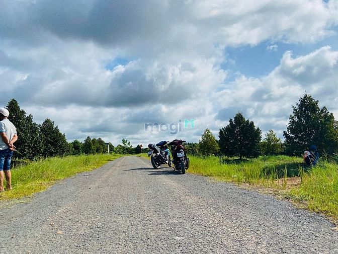 Hình ảnh Tôi Cần Bán Gấp Lô Đất Tây Ninh. Có Phí Cho Môi Giới