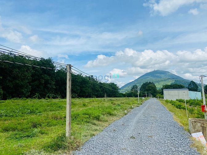 Hình ảnh Tôi Cần Bán Gấp Lô Đất Tây Ninh. Có Phí Cho Môi Giới