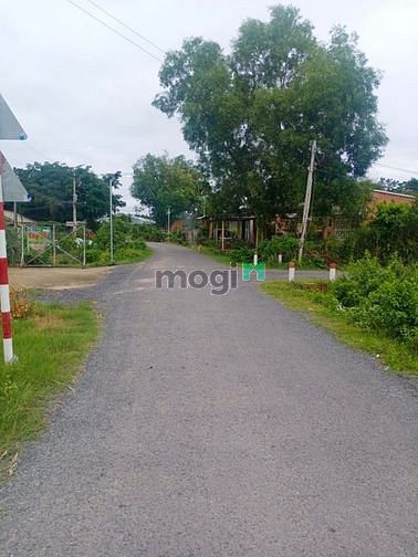 Hình ảnh Tôi Cần Bán Gấp Lô Đất Tây Ninh. Có Phí Cho Môi Giới