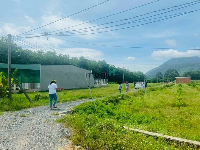 Hình ảnh Tôi Cần Bán Gấp Lô Đất Tây Ninh. Có Phí Cho Môi Giới