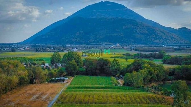 Hình ảnh Tôi Cần Bán Gấp Lô Đất Tây Ninh. Có Phí Cho Môi Giới