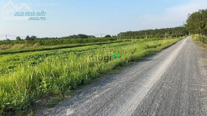 Hình ảnh Tôi Cần Bán Gấp Lô Đất Tây Ninh. Có Phí Cho Môi Giới