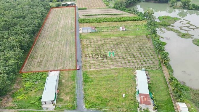 Hình ảnh Tôi Cần Bán Gấp Lô Đất Tây Ninh. Có Phí Cho Môi Giới