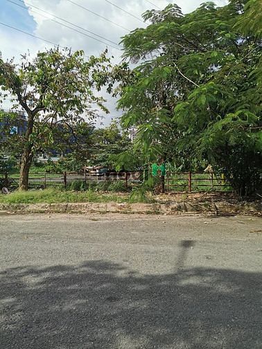 Hình ảnh Đất biệt thự Phừơng Thới An Quận 12, 200m2 thổ cư, Giá 10,8 tỷ