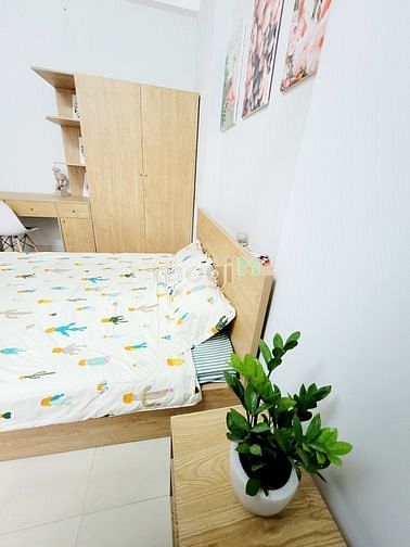 Hình ảnh Cho thuê CHDV Full Nội thất, Quận 1, giá chi từ 7 triệu