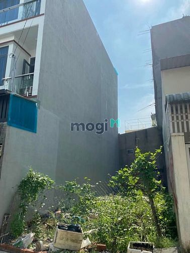 Hình ảnh - Hàng Hiếm Đất hẻm 145 Đỗ Xuân Hợp. Phước Long B. Quận 9.