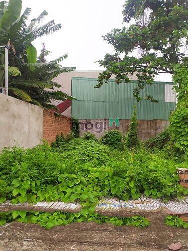 Hình ảnh Bán lô đất hẻm xe hơi Vườn Lài , q.12 , 4.4*13 , sổ hồng , 3.98 tỷ