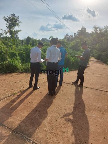 Hình ảnh Ra gấp lô đất ở Lộc Thạnh Lộc Ninh Bình Phước