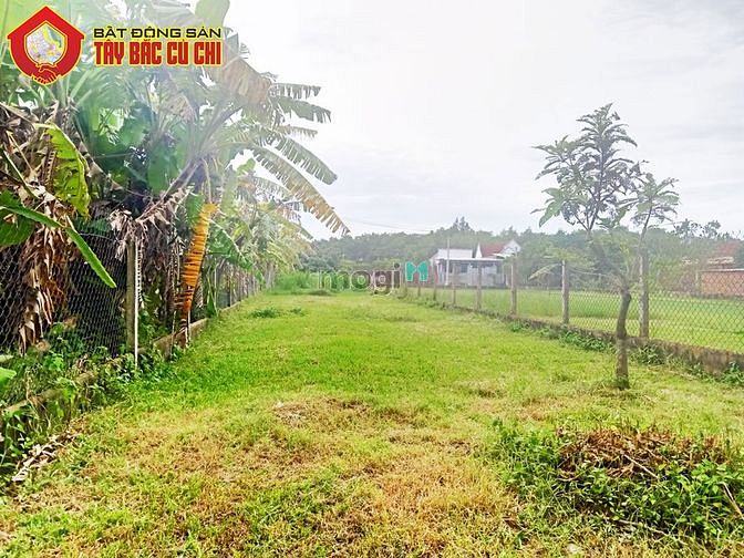 Hình ảnh Bán đất 1/ đường trung lập - 212m2 - 7x30 - 191m2 thổ cư - xã trung