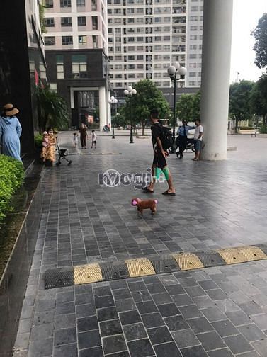 Hình ảnh Trang Chủ MB66.COM Chính Thức Bộ Công An Thái Hà 43 Phạm Văn Đồng 2PN 2VS full đồ Giá Thật