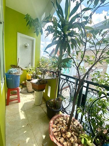 Hình ảnh Bán Nhà 5 Tầng -Nguyễn Đình Chiểu-P.4-Q.3