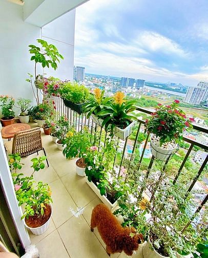 Hình ảnh Tổng hợp giỏ hàng cho thuê The Sun Avenue cập nhật 24/7