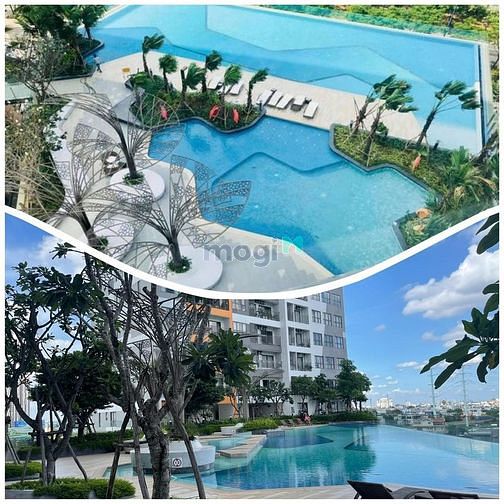 Hình ảnh Tổng hợp giỏ hàng cho thuê The Sun Avenue cập nhật 24/7