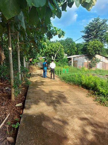 Hình ảnh Đất nền giá rẻ bất ngờ ở Lộc Ninh Bình Phước