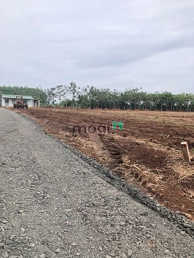 Hình ảnh Đất nền giá rẻ bất ngờ ở Lộc Ninh Bình Phước