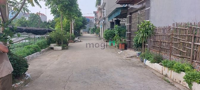 Hình ảnh Đất bìa làng 68m2, MT 4.2m. Đất bìa Xóm Đông, Vân Nội, Đông Anh.