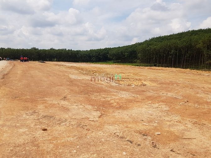 Hình ảnh Đất sổ sẵn đường 32m giá rẻ nhất khu vực