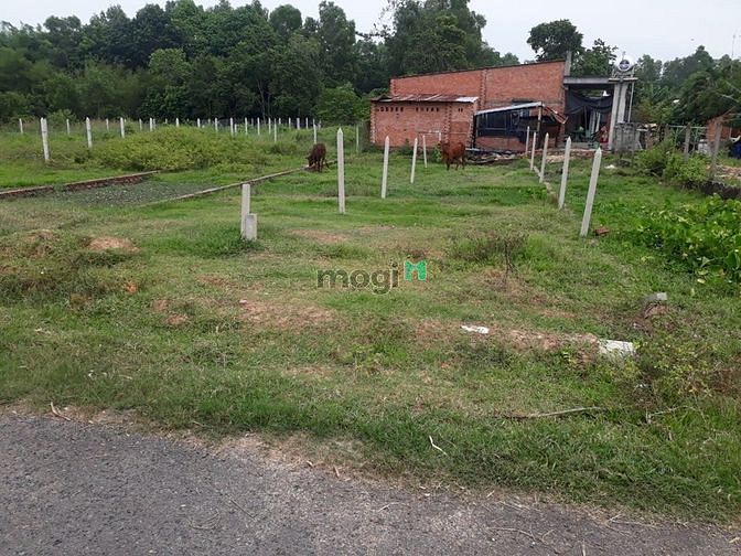 Hình ảnh Bán nền đất full thổ 128 mét vuông
