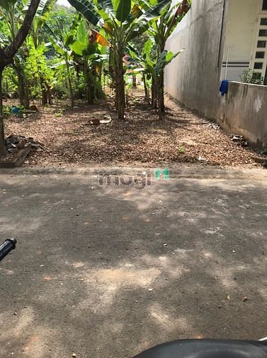 Hình ảnh về quê cần bán lô đất 200m2 10x20m gần đại nam dân đông gần chợ