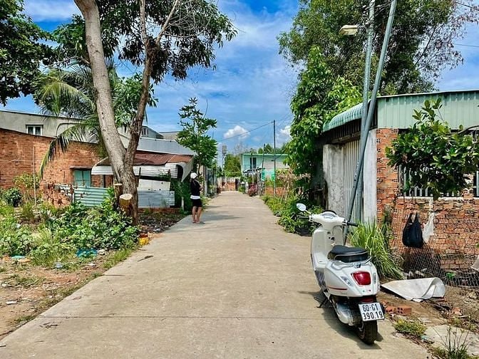 Hình ảnh Quá sốc với 635 triệu đã có ngay 98m2 đất Gò Dầu, full thổ, sổ riêng