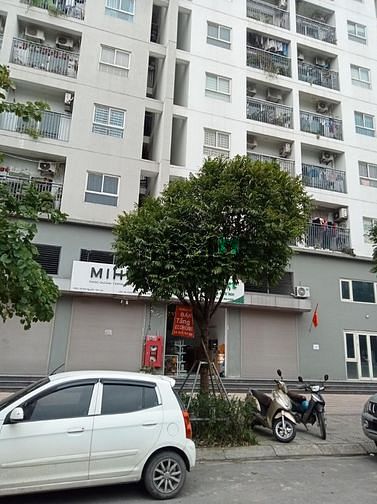 Hình ảnh Bán đất biệt thự, phúc lợi, Long Biên 87  6