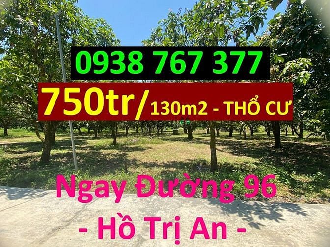 Hình ảnh Đất nền thổ cư ngay đường 96, KDC hiện hữu, *750tr/130m2*, SHR, XDTD