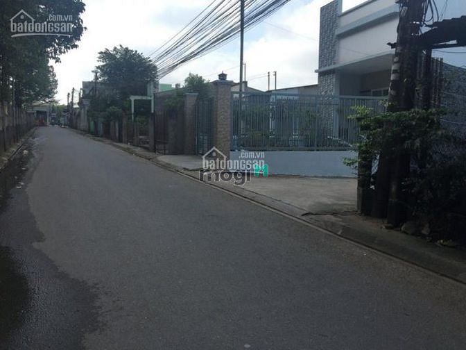 Hình ảnh Đất TC, gần QL1A, KCN, An Bình - Biên Hòa, 100m2 - 1,5 tỷ, SHR