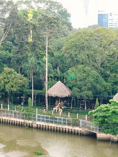 Hình ảnh Cho thuê Trang Chủ MB66.COM / Đăng Ký Tặng 66K 2 phòng ngủ 1 phòng khách